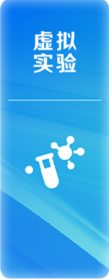 rmt